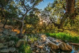 Elfin Forest Recreational Reserve (Escondido)